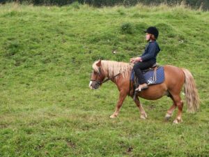 Cavalier en herbe | Promenade équestre