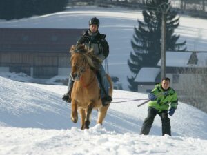 Ski-Joëring