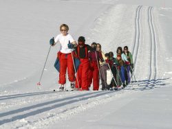 Ski de fond