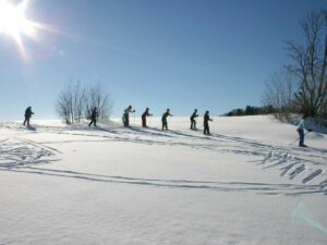 Ski de fond