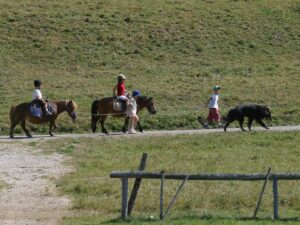 Promenade en poney