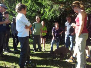 Randonnée au Mont d'Or | Observation des manifestations de la faune et de la flore de nos montagnes