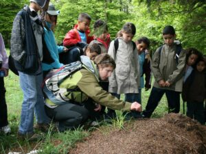 Activité environnement | Observation de la faune et de la flore
