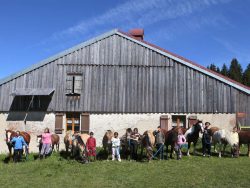 Ferme équestre Les Bâties | Mouthe