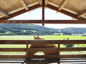 Centre équestre les Cerclevaux | Chaux-Neuve